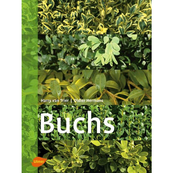 Buchs