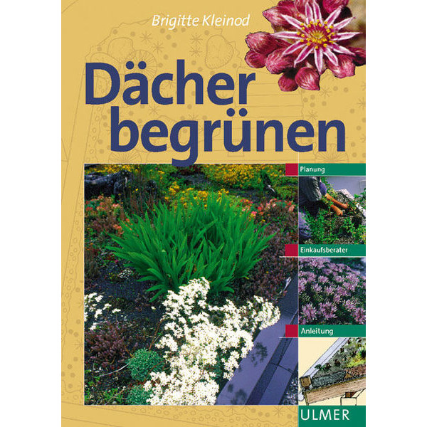 Dächer begrünen