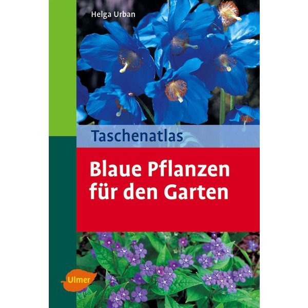 TA Blaue Pflanzen
