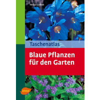 TA Blaue Pflanzen
