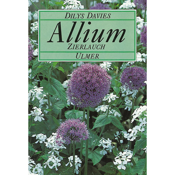 Allium
