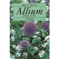 Allium