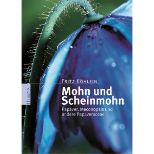 Mohn/Scheinmohn