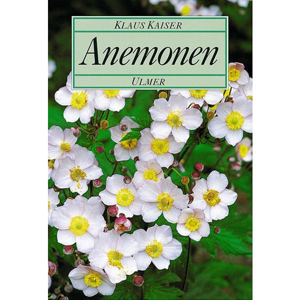 Anemonen