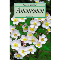 Anemonen