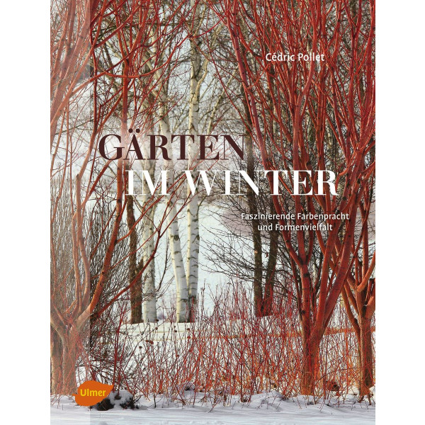 Gärten im Winter