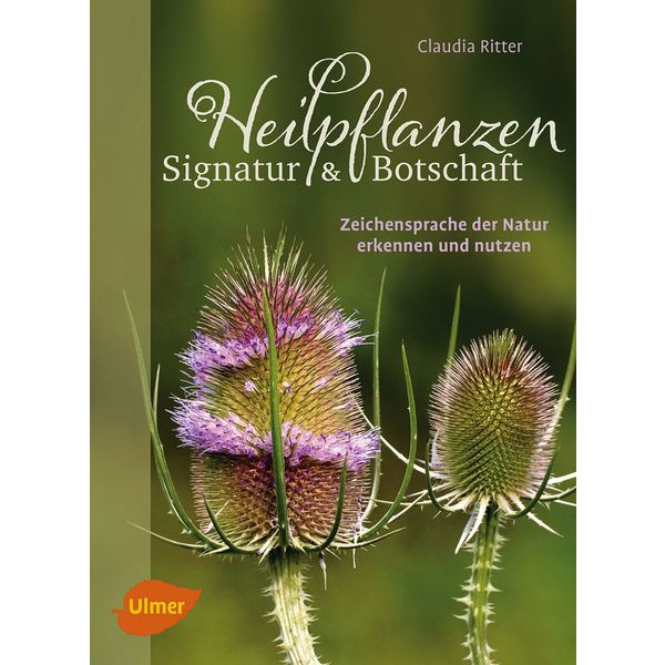 Heilpflanzen - Signatur & Botschaft