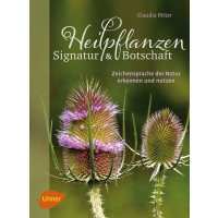Heilpflanzen - Signatur & Botschaft