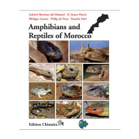 Amphibians and Reptiles of Morocco