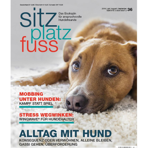 Bookazin: SitzPlatzFuss 36