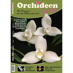 Orchideen Zauber 2 (März / April 2014)