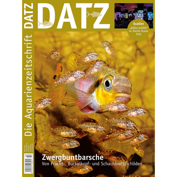 DATZ 2015 - 03 (März) box