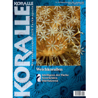 KORALLE 119 - Weichkorallen (Oktober/November 2019)