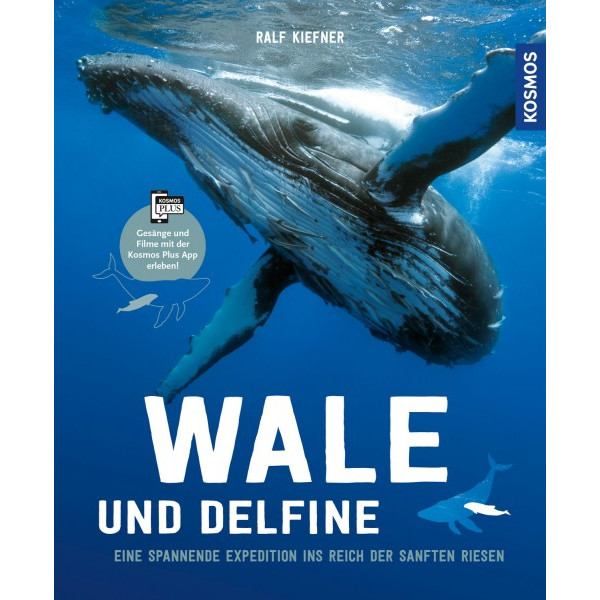 Wale & Delfine - Eine spannende Expedition ins Reich der sanften Riesen