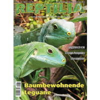 Reptilia 138 - Baumbewohnende Leguane (August/September 2019)