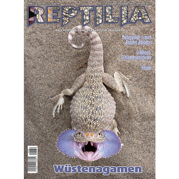 Reptilia 139 - Wüstenagamen (Oktober/November 2019)