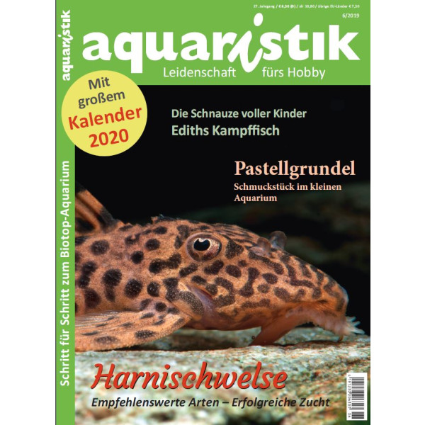 aquaristik 6/2019 box