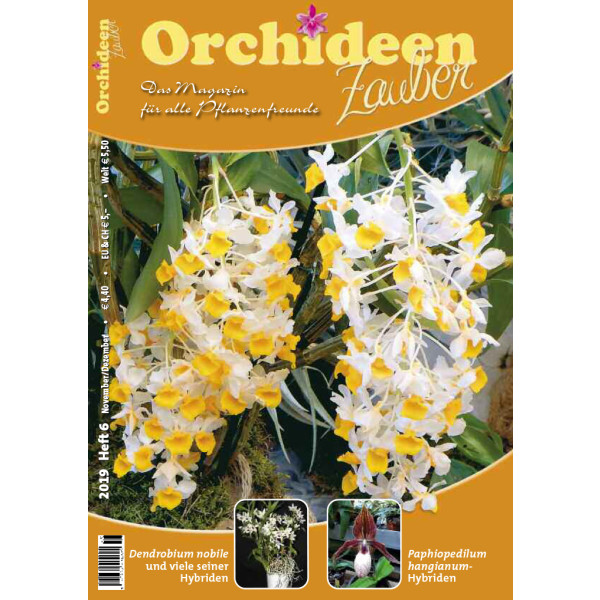 Orchideen Zauber 6 (November/Dezember 2019)