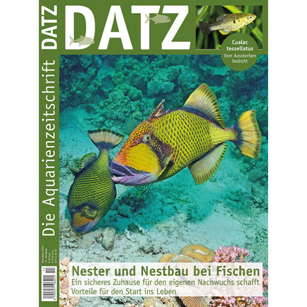 DATZ 2019 - 11 (November)