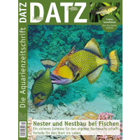 DATZ 2019 - 11 (November)