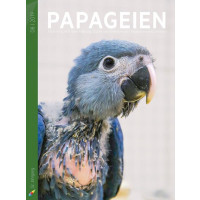 PAPAGEIEN 08/2019