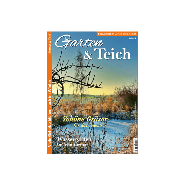 Garten & Teich 4/2019