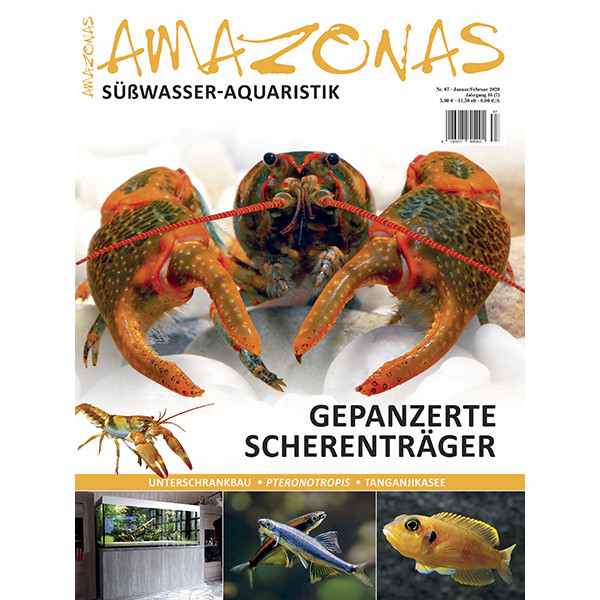 Amazonas 87 - Gepanzerte Scherenträger