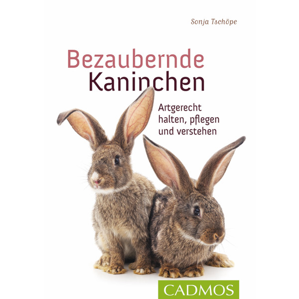 Bezaubernde Kaninchen