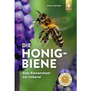 Die Honigbiene - Vom Bienenstaat zur Imkerei - Der...