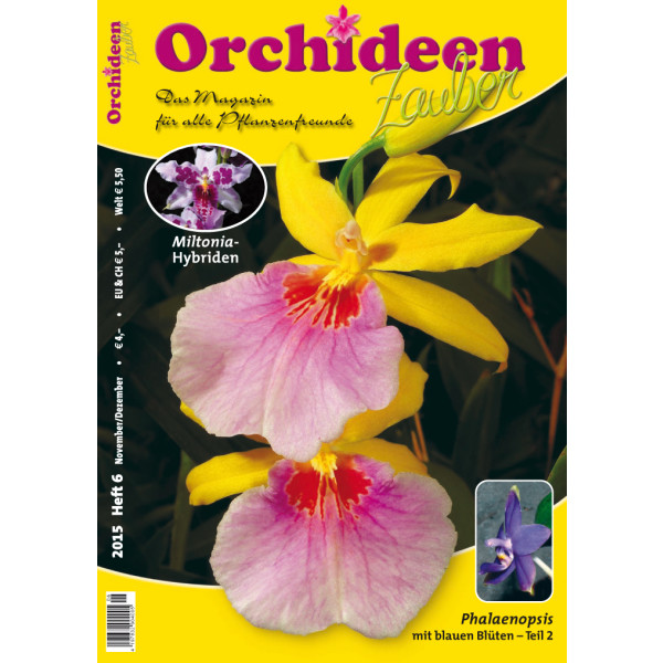 Orchideen Zauber 6 (November/Dezember 20 box