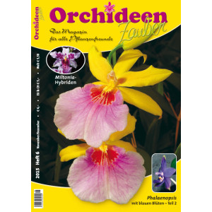 Orchideen Zauber 6 (November/Dezember 2015)