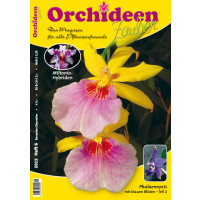 Orchideen Zauber 6 (November/Dezember 2015)