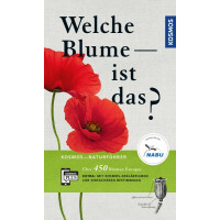 Welche Blume ist das?