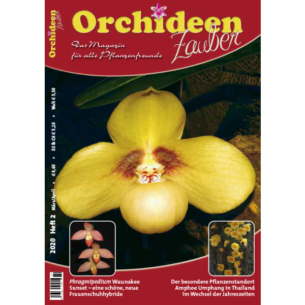 Orchideen Zauber 2 (März/April 2020)