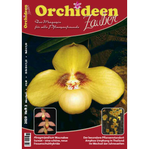 Orchideen Zauber 2 (März/April 2020)