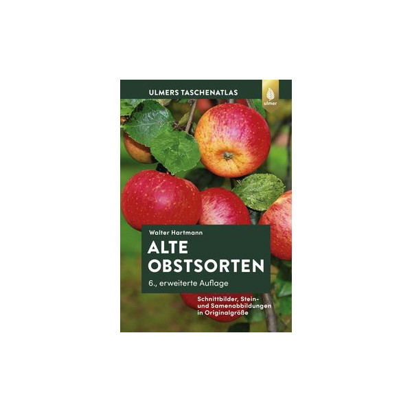 Alte Obstsorten - Schnittbilder, Stein- und Samenabbildungen in Originalgröße