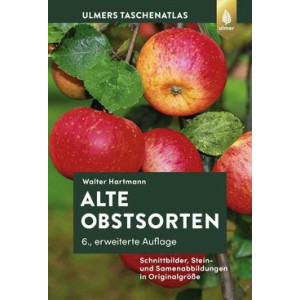 Alte Obstsorten - Schnittbilder, Stein- und...