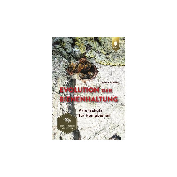 Evolution der Bienenhaltung