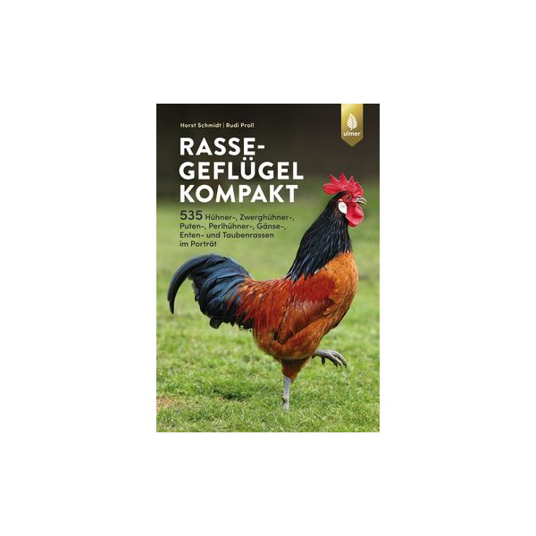 Rassegeflügel kompakt