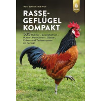 Rassegeflügel kompakt