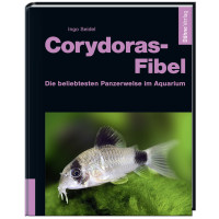 Corydoras-Fibel