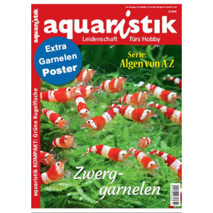 aquaristik 3/2020