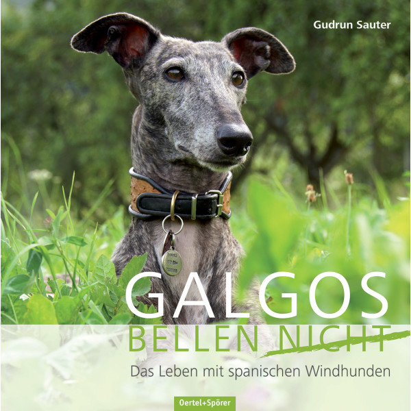 Galgos bellen nicht - Das Leben mit spanischen Windhunden