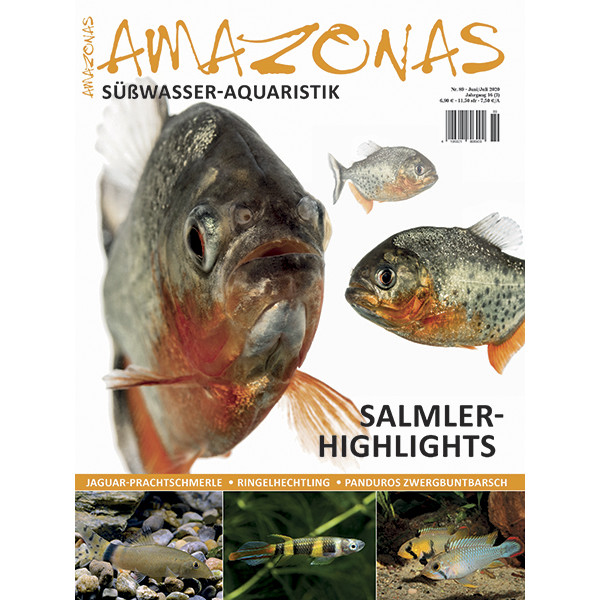 Amazonas 89 - Salmler-Highlights