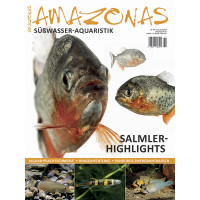 Amazonas 89 - Salmler-Highlights