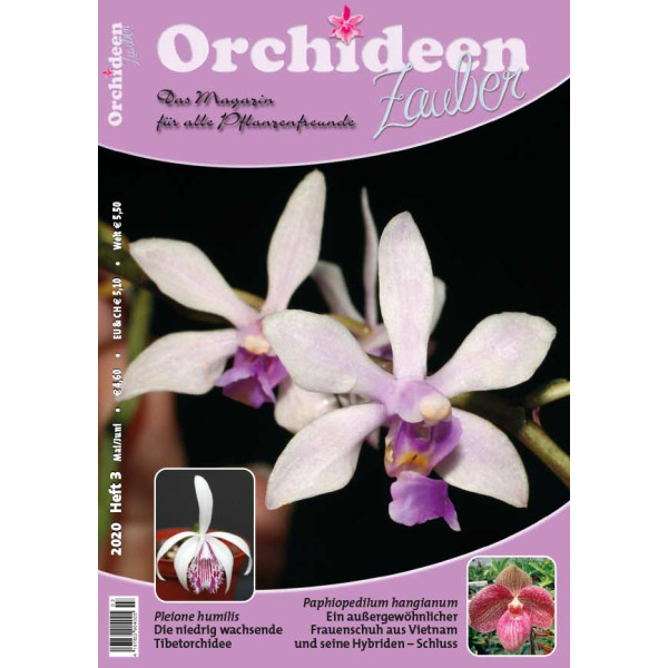 Orchideen Zauber 3 (Mai/Junil 2020)