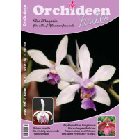 Orchideen Zauber 3 (Mai/Junil 2020)