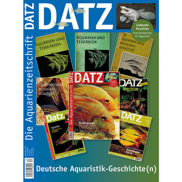 DATZ 2019 - 12 (Dezember) box