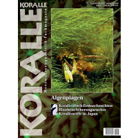 KORALLE 123 - Algenplagen (Juni/Julii 2020)