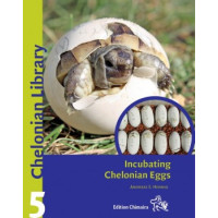 Incubating Chelonian Eggs Chelonian Library 5